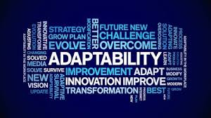 Adaptability in the Workplace